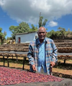 old man on coffee farm