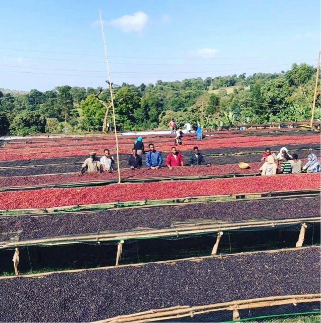 workers at farm