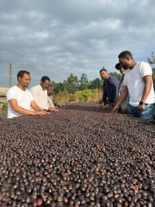 mira coffee family at coffee farm Commitment to sustainability