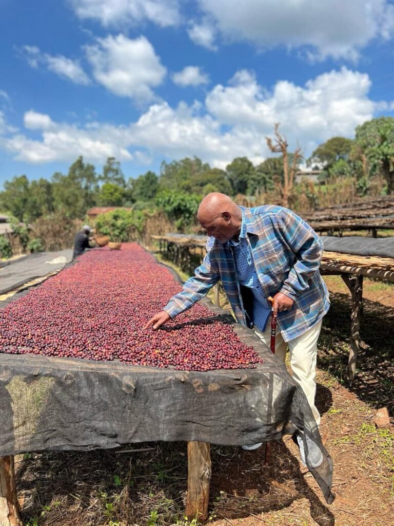 Commitment to sustainability at Mira coffee