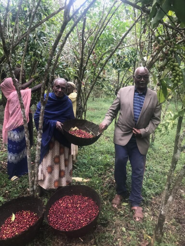 community inside mira coffee farm