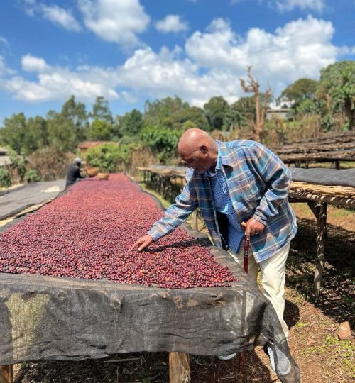 Commitment to sustainability at Mira coffee
